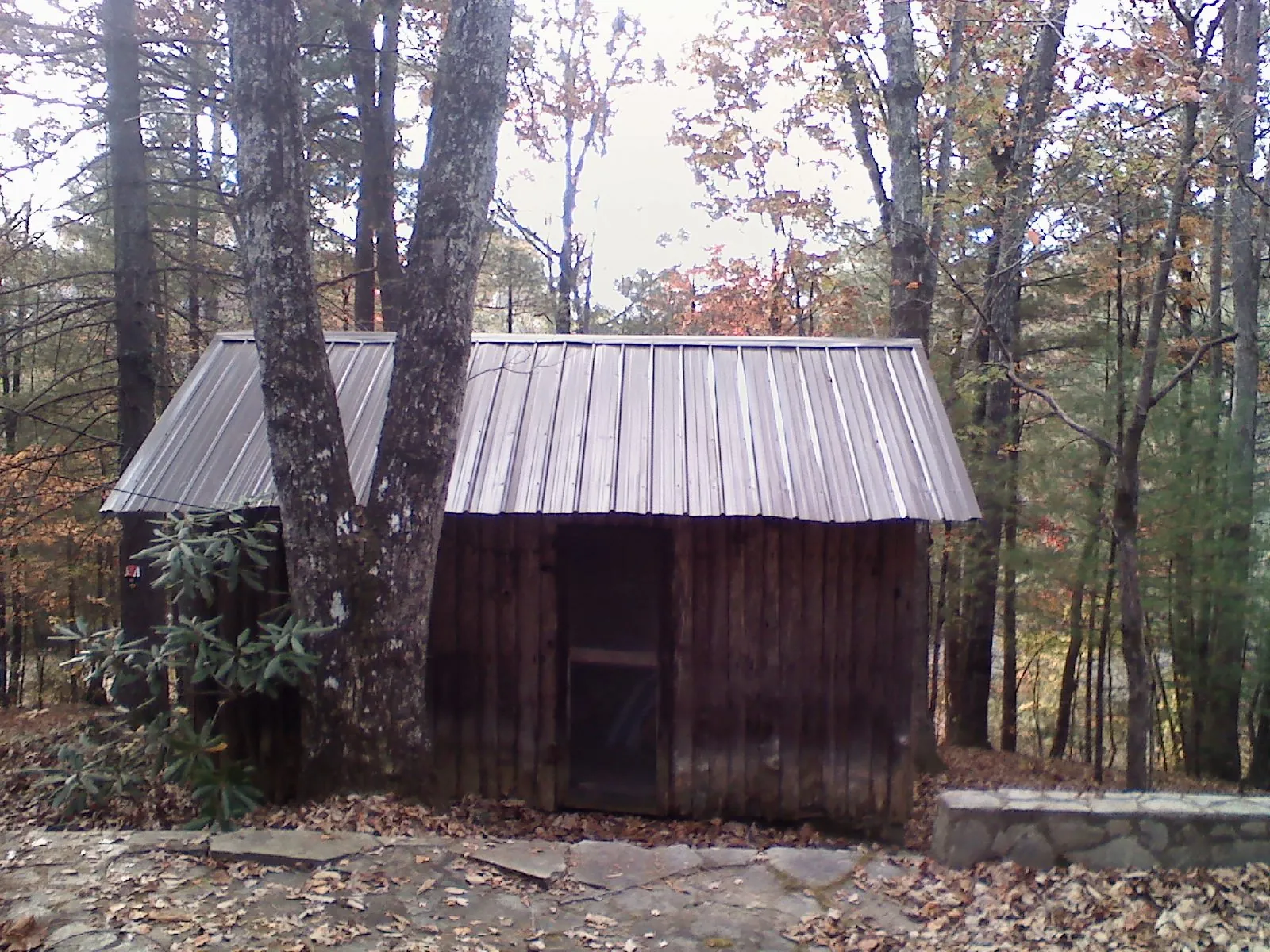 New metal gable roof on a small log shed among the trees in Letha